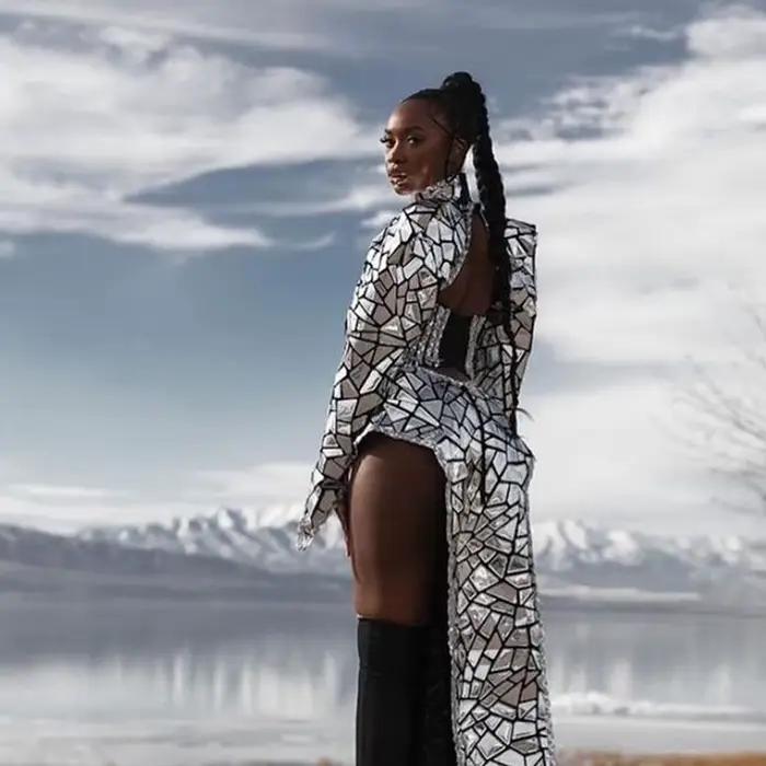 Robe Dos auxà Paillettes Argentées pour Femme, Tenue de Soirée, Discothèque, Spectacle sur Scène, Da