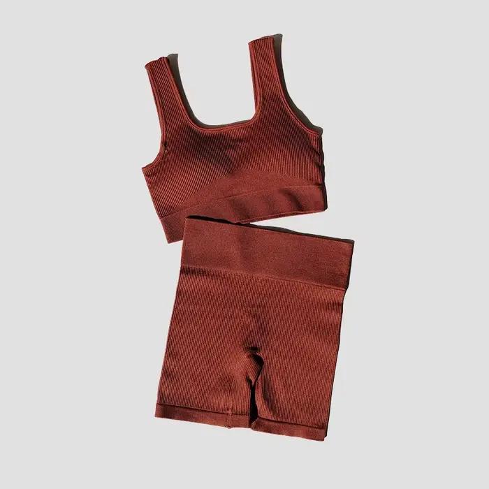 Ensemble de Yoga pour femmes, 2 pièces, soutien-gorge Sexy sans couture, short de Sport, vêtements d