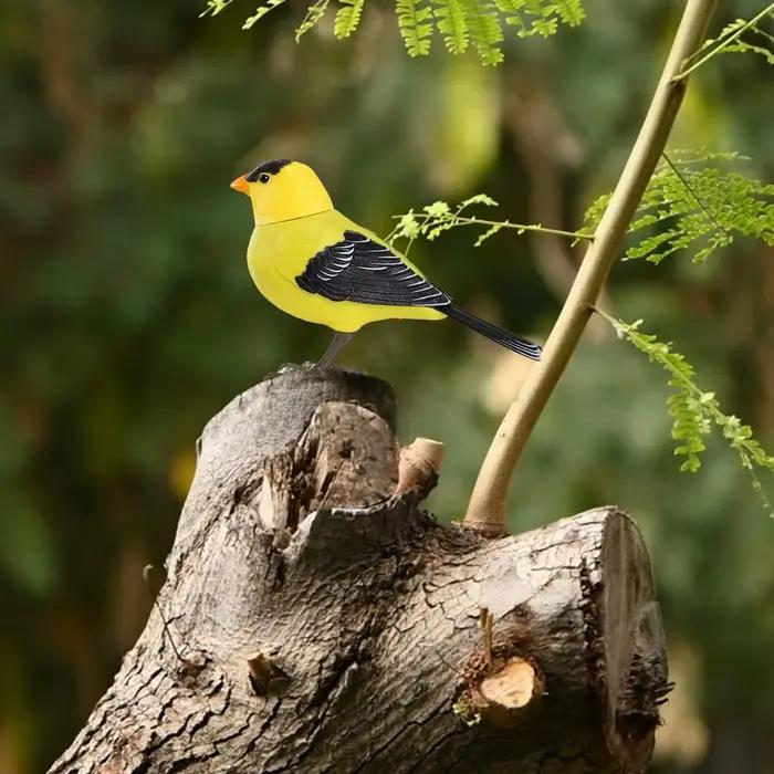 Oiseaux robot, jouets électroniques pour oiseaux chantants et chirping, oiseaux chantants alimentés par batterie, pour la décoration de la maison, commande vocale d'éclairage