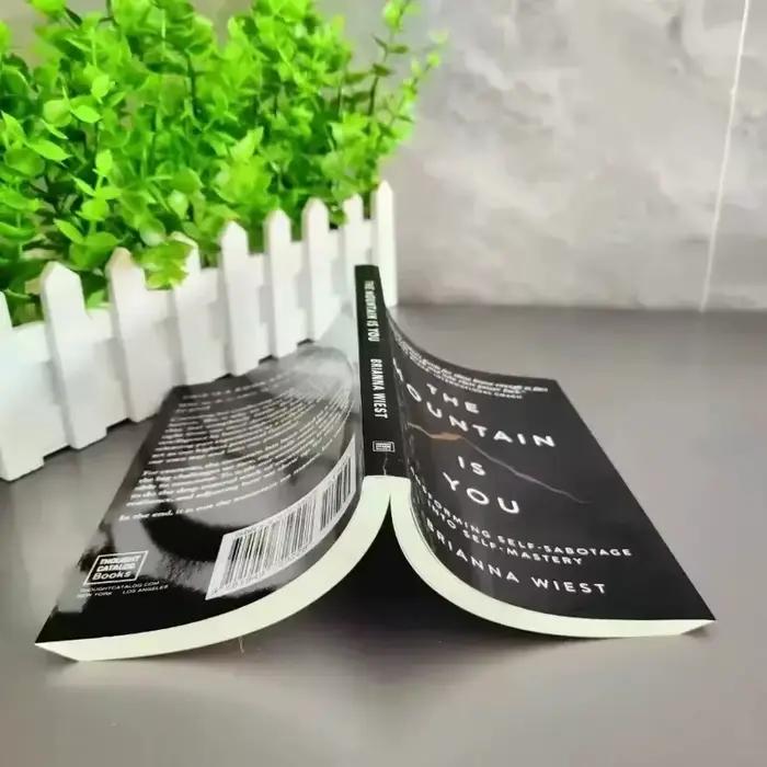 Nouveauté 2025 : La Montagne Est Vous : Transformer la self-sabotage en maîtrise de soi – Livres en anglais – Cadeaux d'anniversaire