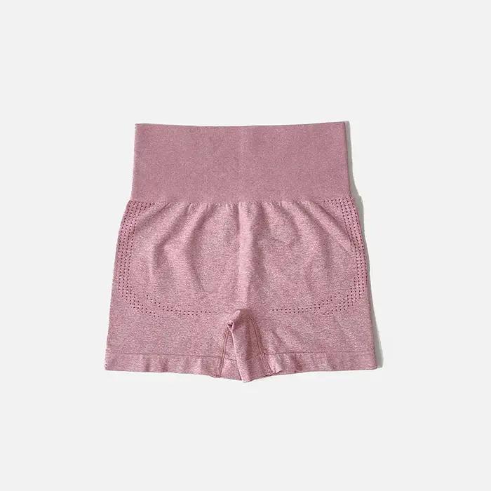 Ensemble de Yoga sans couture pour femmes, haut court, chemise à manches courtes, Short de Fitness,