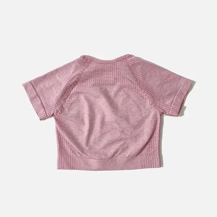 Ensemble de Yoga sans couture pour femmes, haut court, chemise à manches courtes, Short de Fitness,
