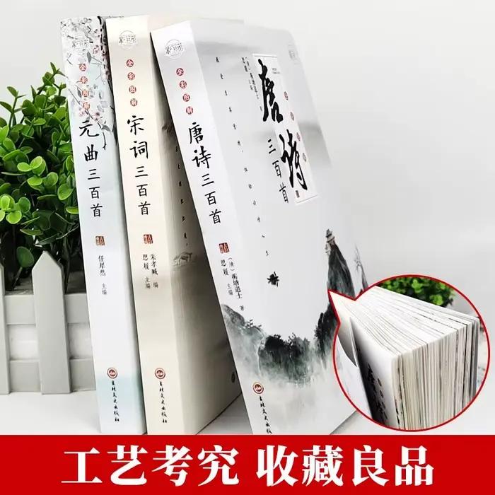 Trois cents poèmes Tang, Song Ci et Yuan Qu, appréciation de la poésie ancienne