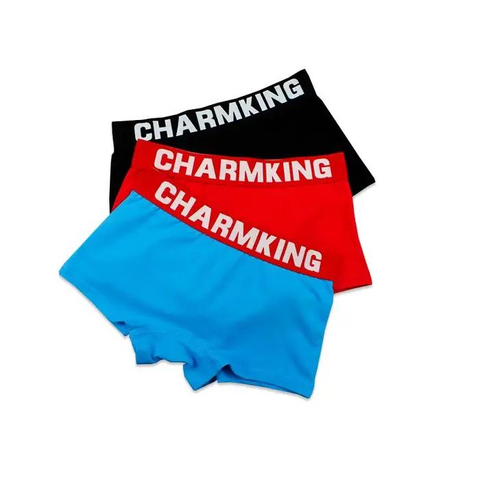HaleyChan – Boxer large à taille élastique, slip 1 pièce, Lingerie pour femmes, sous-vêtements transsexuels, lesbiennes,boxer femme sous vetement femme culotte femme lingerie culottes,slip femme,sous
