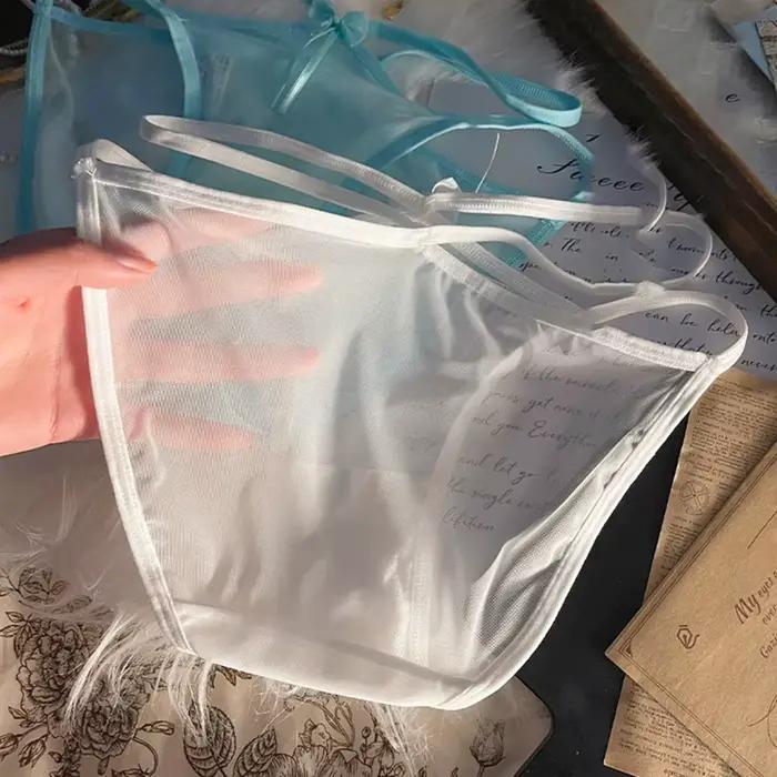 Culottes pour femmes, nouvelle lingerie ultra-fine en maille transparente pour femmes, pantalon triangle cool, accessoires sexy, lingerie sexy pour femmes