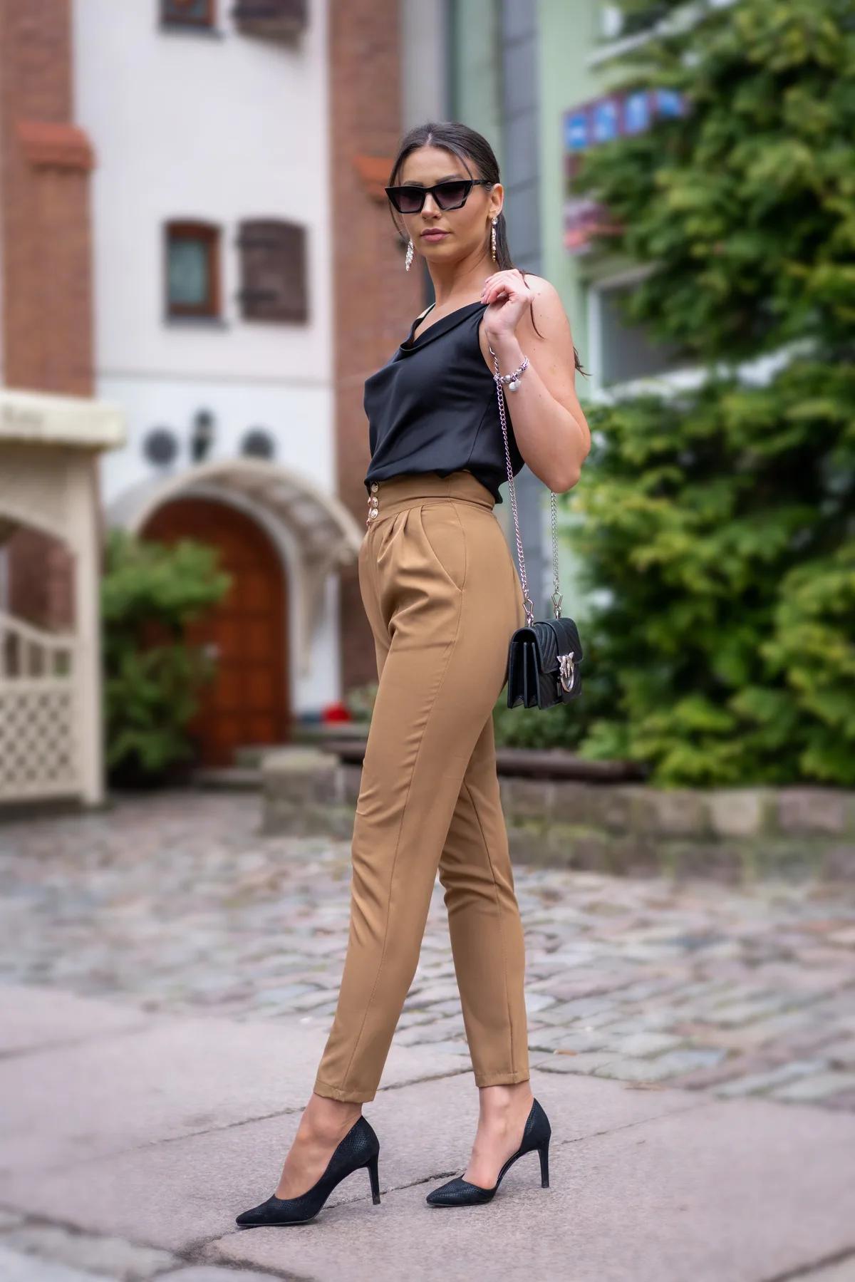 Elegant Camel