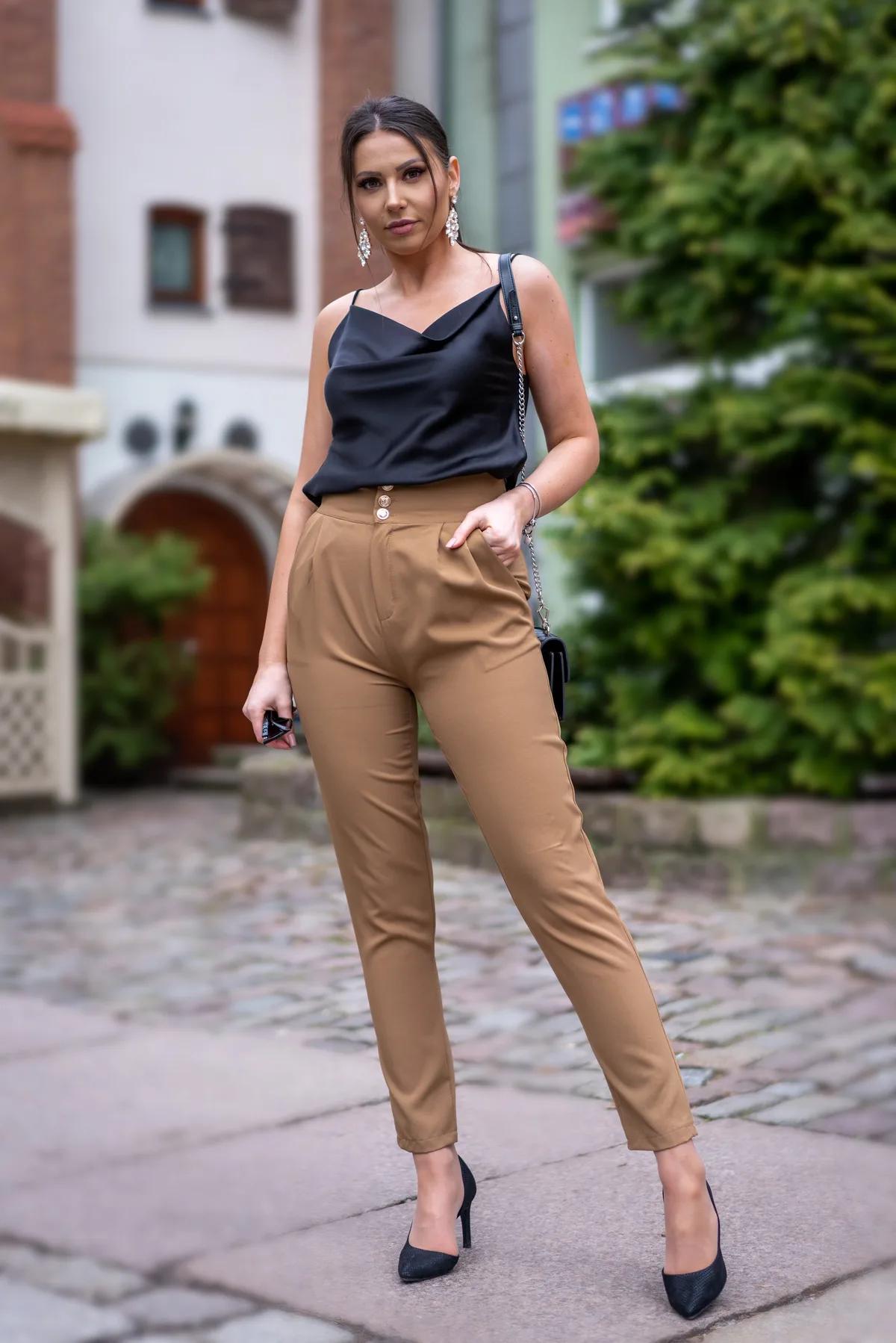 Elegant Camel