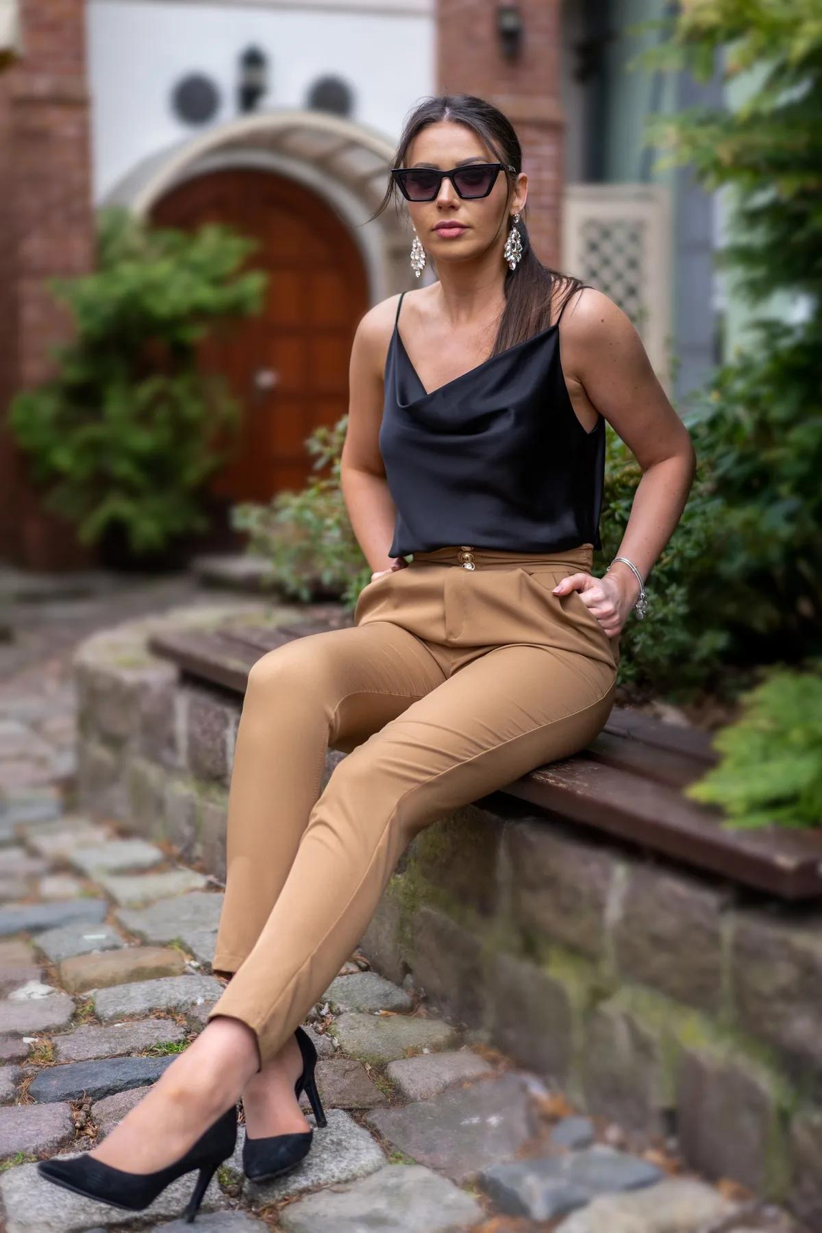 Elegant Camel